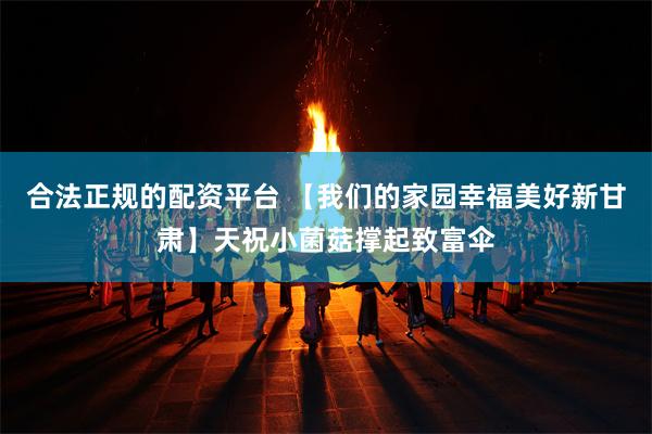 合法正规的配资平台 【我们的家园　幸福美好新甘肃】天祝小菌菇撑起致富伞