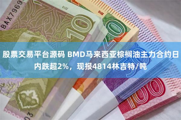 股票交易平台源码 BMD马来西亚棕榈油主力合约日内跌超2%，现报4814林吉特/吨