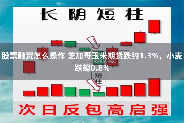 股票融资怎么操作 芝加哥玉米期货跌约1.3%，小麦跌超0.8%