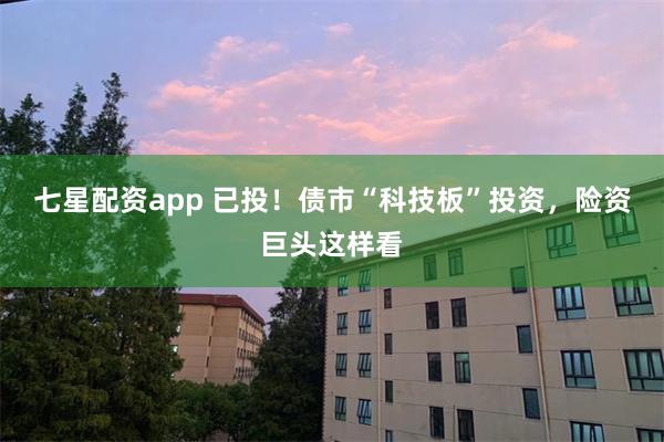 七星配资app 已投！债市“科技板”投资，险资巨头这样看