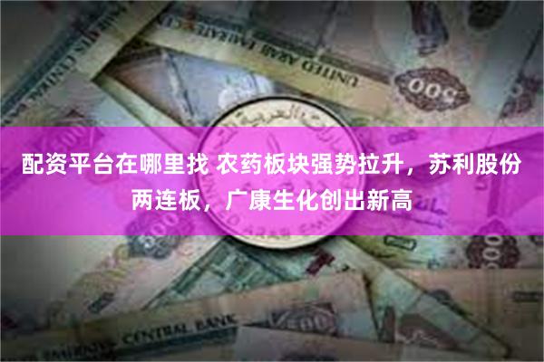 配资平台在哪里找 农药板块强势拉升，苏利股份两连板，广康生化创出新高