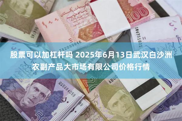 股票可以加杠杆吗 2025年6月13日武汉白沙洲农副产品大市场有限公司价格行情