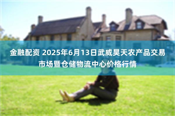 金融配资 2025年6月13日武威昊天农产品交易市场暨仓储物流中心价格行情