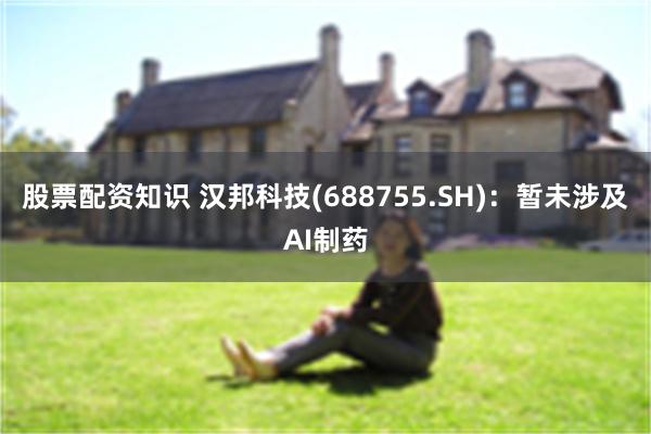 股票配资知识 汉邦科技(688755.SH)：暂未涉及AI制药