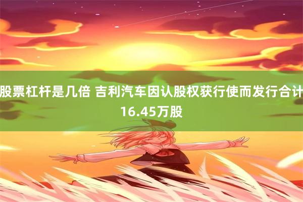 股票杠杆是几倍 吉利汽车因认股权获行使而发行合计16.45万股