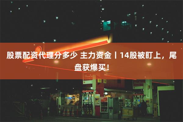 股票配资代理分多少 主力资金丨14股被盯上,尾盘获爆买!