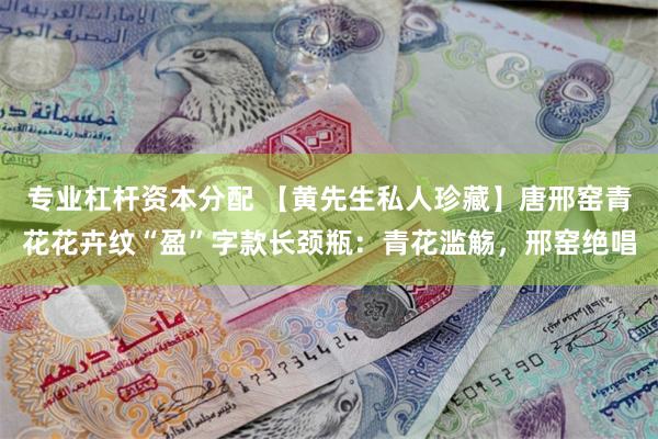 专业杠杆资本分配 【黄先生私人珍藏】唐邢窑青花花卉纹“盈”字款长颈瓶：青花滥觞，邢窑绝唱