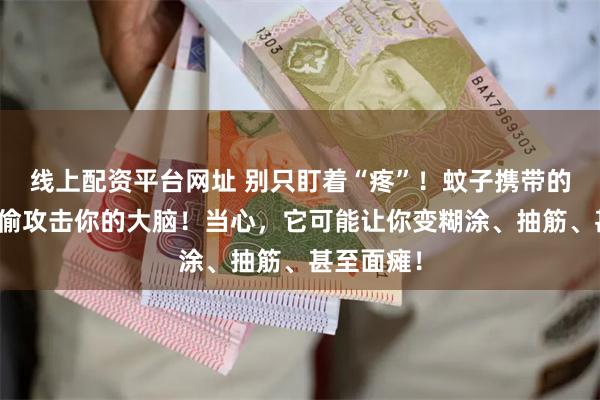 线上配资平台网址 别只盯着“疼”！蚊子携带的病毒正偷偷攻击你的大脑！当心，它可能让你变糊涂、抽筋、甚至面瘫！